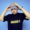 Слушать DJ Shadow Feat Mos Def - Six Days